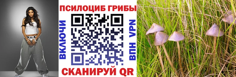 купить  цена  Шали  Псилоцибиновые грибы мухоморы 